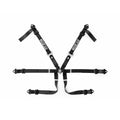 Sparco Prime F3 Formula Racing Harness