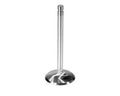 Ford Stainless Exhaust Valve 1.540 FRDM6505-G302