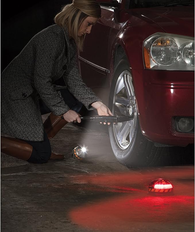 Reese Towpower PD110200 POD Hazard, Dual-Use Emergency Warning and Wor ...