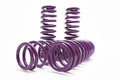 D2 Lowering Springs For Honda Civic 92-00/ Acura Integra 94-01