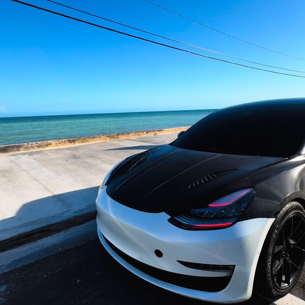 Tesla Model 3 Multicolor DRL Boards (2017-2021)