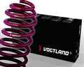 VOGTLAND LOWERING SPRING KIT02-04 Acura RSX Base