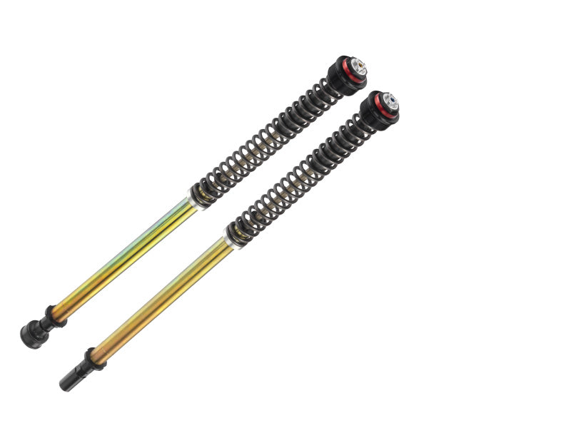 Bitubo Suspension Bitubo JBHV1 Pressurized Cartridge Adj.: Spring Preload, Rebound, Comp., w/o Oil, Red Ring CF001JBH01V1WO
