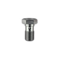 1/8" BSP Banjo Bolt HEL Stainless Steel