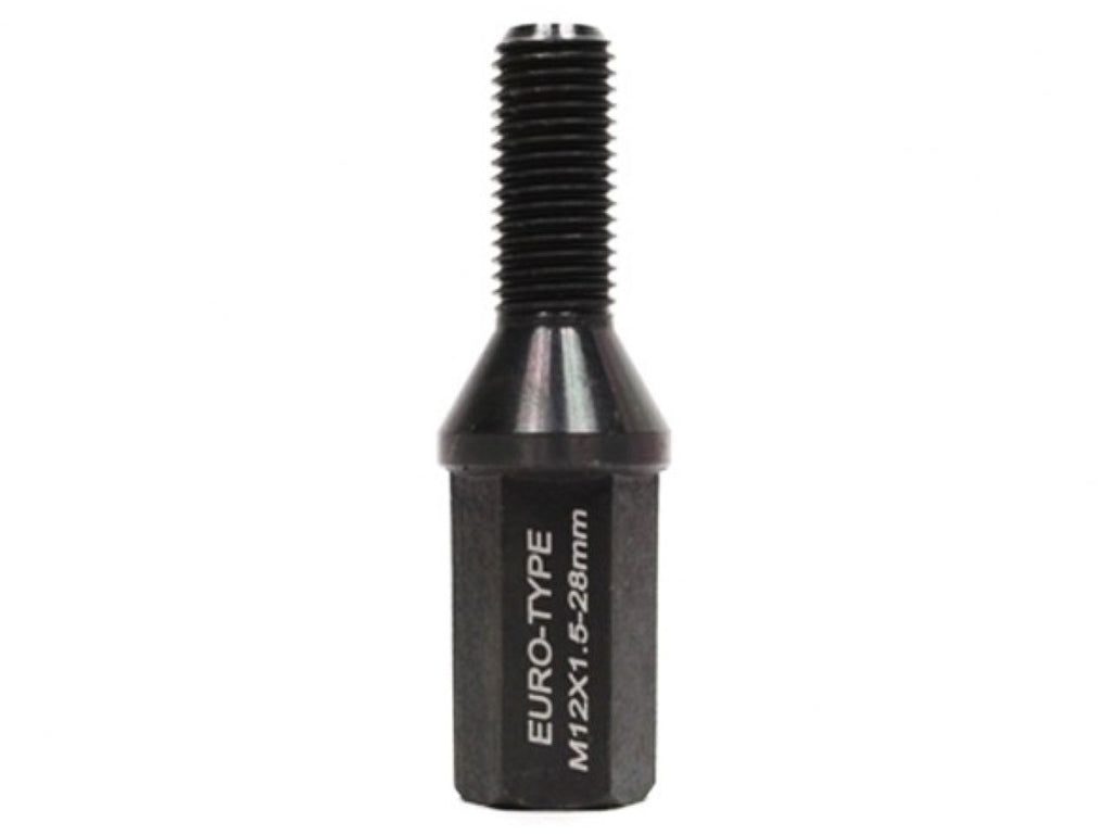 Godspeed Euro-Type Taper Cone Lug Bolts 10 Piece Set