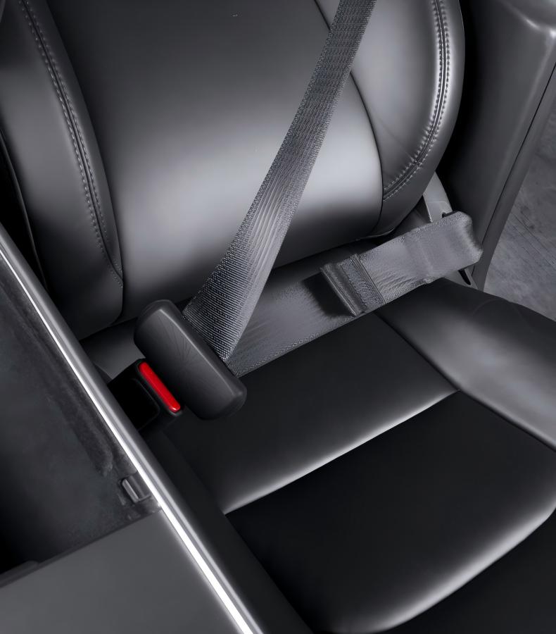 TESERY Seat Belt Buckle Cover Set for Tesla Model 3 / Model Y